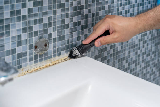Best Post-Remediation Services in Morton, TX
