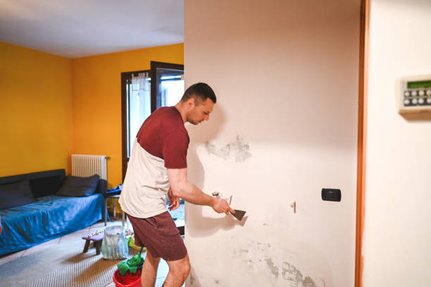 Best Mold Remediation for Schools in Morton, TX